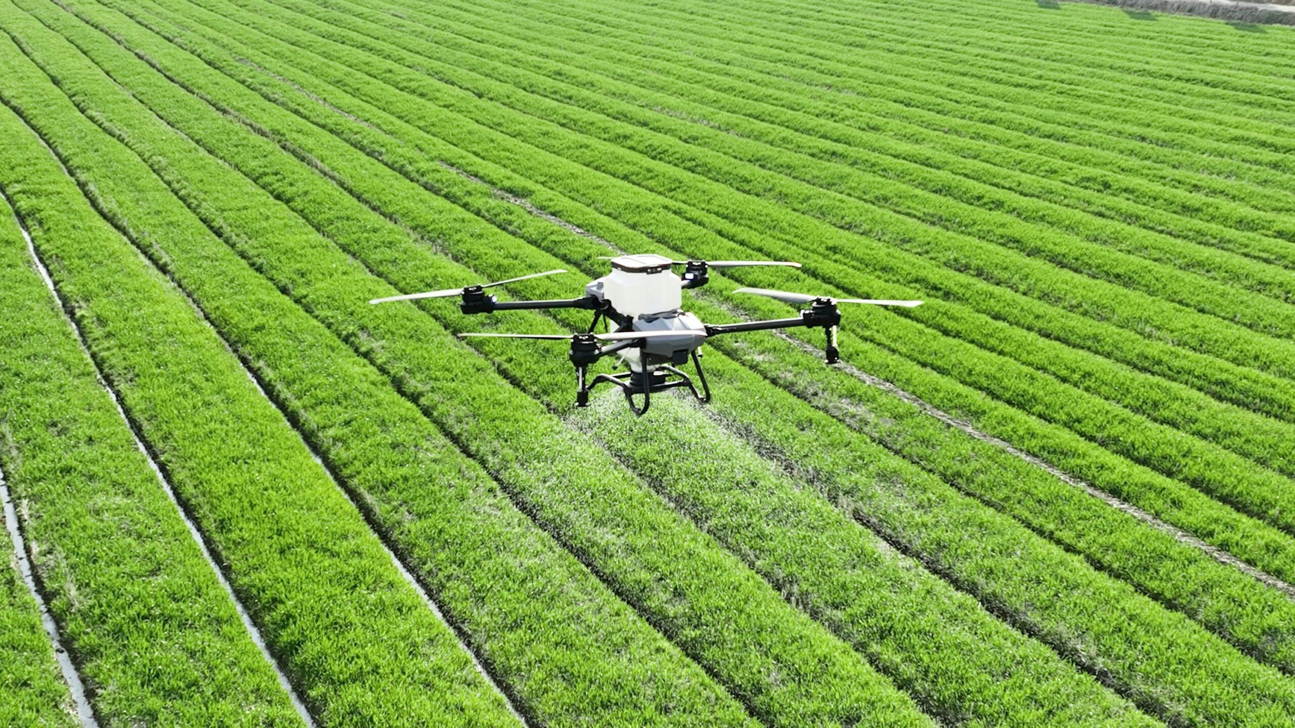 Inteligência Artificial no Agronegócio e no Registro de Imóveis: inovação, governança fundiária e segurança jurídica
